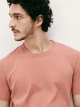 Camiseta básica de manga corta y cuello redondo, color rojo oscuro.