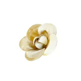 Broche con forma de flor hecho en asta color natural.