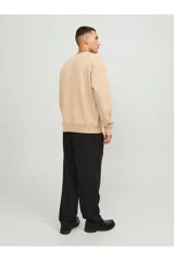 Buzo color beige de manga larga y cuello redondo, con calce relajado y hombros caídos.