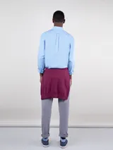 Camisa celeste de algodón con cuello abotonado, corte regular fit, manga larga con puños simples y logo bordado en el pecho.