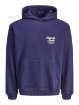 Buzo con capucha de calce holgado, confeccionado en tejido loopback con interior levemente afelpado. Presenta bolsillo tipo canguro frontal y estampados en el pecho y la espalda.