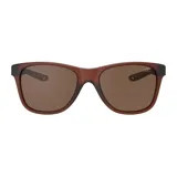 Lentes de sol Mormaii modelo Bangkok, con armazón marrón translúcido de acetato y cristales marrones polarizados.