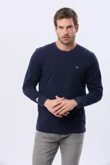 Remera manga larga lisa, color gris claro, con cuello redondo y logo bordado en el pecho.