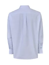 Camisa de manga larga RKF modelo Wf Pb, confeccionada en algodón con diseño de rayas finas celestes y blancas. Cuenta con cuello abotonado, cierre frontal de botones, bolsillo en el pecho con logo bordado y calce regular.