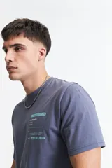 Remera color durazno de manga corta, cuello redondo y corte clásico. Estampado frontal con recuadro de buscador web y texto "authentic".