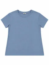 Remera básica de manga corta y cuello redondo, de corte clásico y diseño liso.