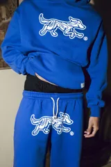 Hoodie azul con estampado de un perro en el pecho. Corte oversize.