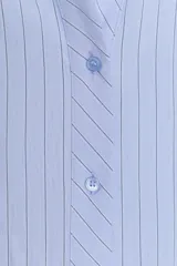 Camisa de manga larga con cuello solapa y escote en pico. Presenta un diseño entallado en la cintura y cierre frontal mediante botones.