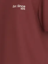 Remera color borgoña de corte holgado, cuello redondo y mangas cortas. Estampado frontal con el logo de Calvin Klein Jeans y la leyenda "Est. Since 1978".