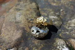 Anillo plateado con diseño irregular inspirado en los corales marinos.