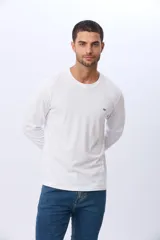 Remera manga larga lisa, color gris claro, con cuello redondo y logo bordado en el pecho.