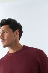 Sweater de punto color bordó, de corte clásico, cuello redondo y mangas largas. Presenta logo bordado en el pecho.