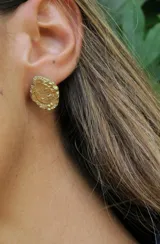 Aros tipo botón pequeños y de formato ovalado con diseño de escudo grabado, de inspiración criolla.