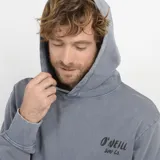 Buzo gris con capucha y logo O'Neill estampado en el pecho.