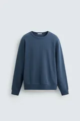 Sudadera de corte regular fit confeccionada en algodón con interior afelpado, cuello redondo y manga larga con puños y ruedo en rib.