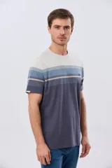 Remera de manga corta con diseño de franjas horizontales en tonos de gris, azul y beige, con escote redondo y pequeño bordado en el pecho.
