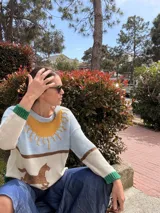 Sweater de punto 100% algodón, con diseño multicolor que incluye un sol bordado en el pecho, un paisaje en la parte inferior con un caballo, y detalles en verde en los puños y el cuello.