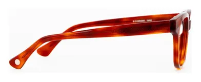 Armazón para lentes de receta unisex, de acetato color carey, con forma panto y patillas antideslizantes con núcleo de metal plateado.