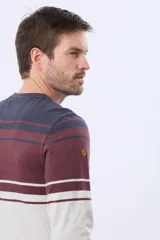 Remera de manga larga con diseño de rayas horizontales en tonos azul marino, bordó y gris. Presenta cuello redondo y un bordado en relieve en el pecho con la inscripción Legacy Established Brand.