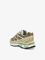 Championes de trail running Salomon modelo XT-6, con diseño técnico en tonos marrones y arena. Presentan sistema de cordones de ajuste rápido, estructura reforzada con tecnología Sensifit y suela con tacos para terreno blando.