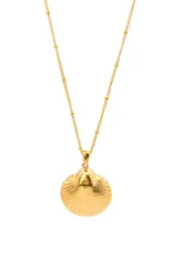 Collar dorado con cadena de eslabones y dije de caracol marino.