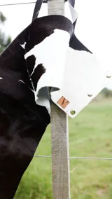 Top corto de cuero ovino con estampado de vaca en blanco y negro, de corte recto y breteles anchos.