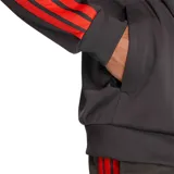 Campera deportiva Adidas de cuello alto y cierre frontal completo, modelo Audi Revolut F1 Team en color gris oscuro con las icónicas tres tiras rojas en las mangas. Cuenta con el logo de Adidas y el emblema del equipo de Fórmula 1 estampados en el pecho.
