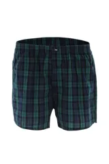 Calzoncillo tipo bóxer de tela con estampado a cuadros en tonos verde y azul, con cintura elástica.