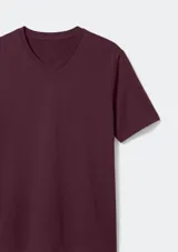 Remera básica de manga corta y cuello en V, de color azul, con diseño liso y corte clásico.