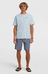 Remera O'Neill de manga corta y cuello redondo, color celeste, con pequeño estampado gráfico de la marca en el pecho.