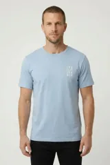 Remera celeste de manga corta con cuello redondo y estampa pequeña en el pecho con el texto "Endless Summer".