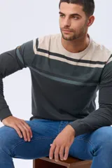 Remera de manga larga con cuello redondo, diseño a rayas horizontales en tonos beige, verde oscuro y gris. Confeccionada en algodón y poliéster.