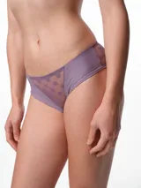 Bombacha de tiro medio confeccionada en microfibra y encaje, con panel frontal de encaje floral y laterales lisos. Cuenta con fundillo de algodón para mayor comodidad.