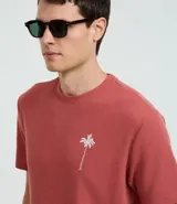 Remera de hombre color terracota, corte regular, cuello redondo y manga corta. Presenta un pequeño bordado de una palmera en el lado izquierdo del pecho.