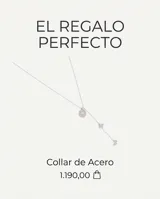 Collar tipo corbatero de acero, con un dije circular que contiene la Estrella de David y dos dijes colgantes en forma de mariposa.