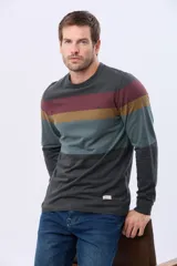 Remera de manga larga con cuello redondo y diseño de rayas horizontales en azul marino, azul claro, beige y verde oscuro. Incluye un pequeño logo bordado en el pecho.