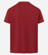 Remera de algodón color ladrillo con cuello redondo, manga corta y estampa con la frase "South Sailing Soul".