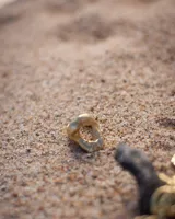 Anillo plateado con forma orgánica irregular y un agujero en el centro.