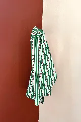 Camisa de manga larga con cuello clásico y cierre frontal de botones. Presenta un diseño de rayas verticales verdes y blancas con un estampado lineal de pequeñas flores rojas sobre las franjas blancas.