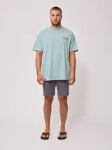 Remera oversize color verde menta, con cuello redondo, manga corta y estampa pequeña en el pecho.