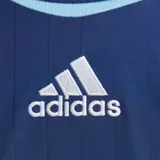 Camiseta de fútbol Adidas de la Selección Argentina, modelo visitante de la temporada 2006. Es de color azul marino con detalles en celeste y blanco, cuello redondo y el número 19 estampado en el frente. Incluye el logo de Adidas y el escudo de la AFA con dos estrellas.