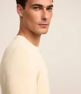 Suéter masculino de cuello redondo y manga larga, confeccionado en tejido de punto liso. Presenta un diseño básico y versátil, ideal para uso diario.