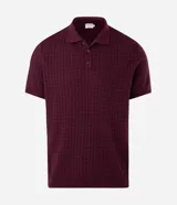 Polo de manga corta confeccionada en tejido de punto con textura de ochos, cuello clásico con cierre de botones y corte regular.