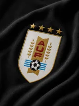 Hoodie negro con capucha y bolsillo frontal tipo canguro. Presenta el escudo de la AUF en el centro del pecho con acabado en relieve y un estampado de alta calidad en la espalda.