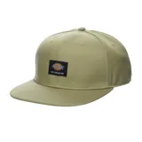 Gorra Dickies color beige con visera plana y logo de la marca bordado en el frente.