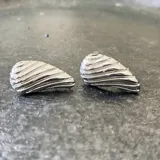 Par de aros de plata 925 con forma de gota y diseño de líneas horizontales en relieve.