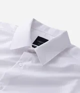 Camisa de corte regular confeccionada en microfibra, con cuello inglés, manga larga y cierre frontal abotonado. Presenta un diseño liso y minimalista, ideal para un estilo formal o de oficina.