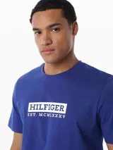 Remera de manga corta Tommy Hilfiger de cuello redondo, confeccionada en puro algodón. Presenta un diseño liso en color azul con un logo gráfico estampado en el pecho enmarcado en un recuadro blanco.
