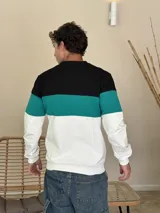 Buzo de cuello redondo con diseño tricolor en bloques horizontales: negro en la parte superior, verde en el centro y blanco en la parte inferior y mangas. Presenta puños y ruedo acanalados.
