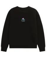 Buzo de cuello redondo en color negro, con diseño estampado en el centro del pecho que representa montañas con colores pasteles y el logo de la marca Denali.